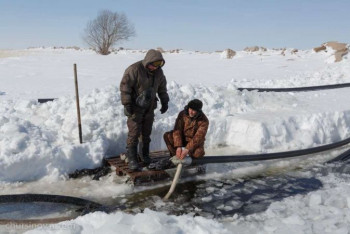 Фотография к новости: Пять регионов с высоким риском паводков назвало МЧС РК