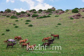 Фотография к новости: Фермеры дезориентированы - НПП о госсубсидировании АПК