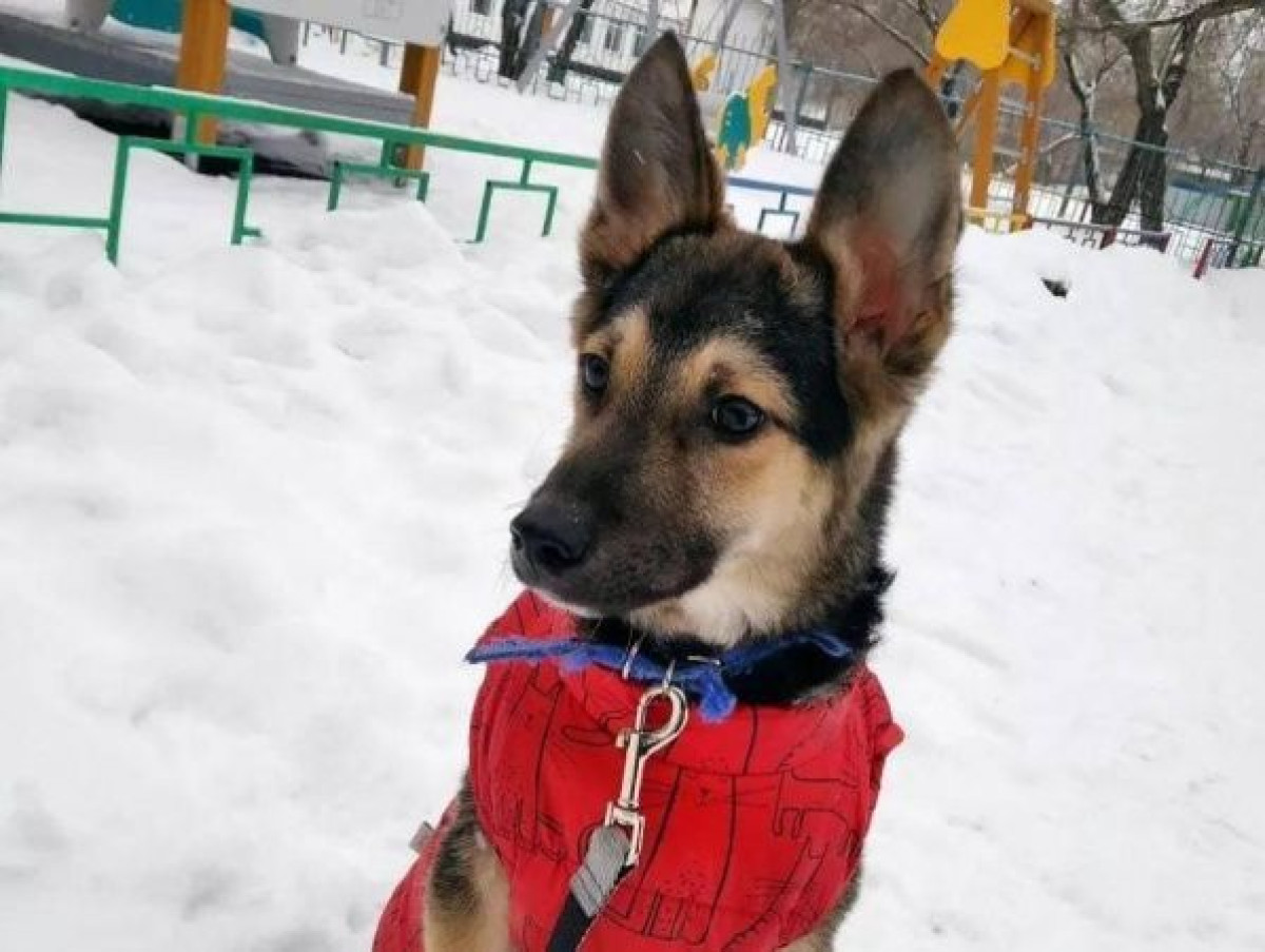  фото автора