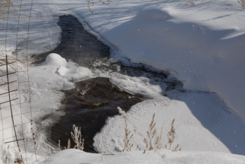 Фотография к новости: Министр Ильин ответил на критику сенаторов о подготовке к паводкам