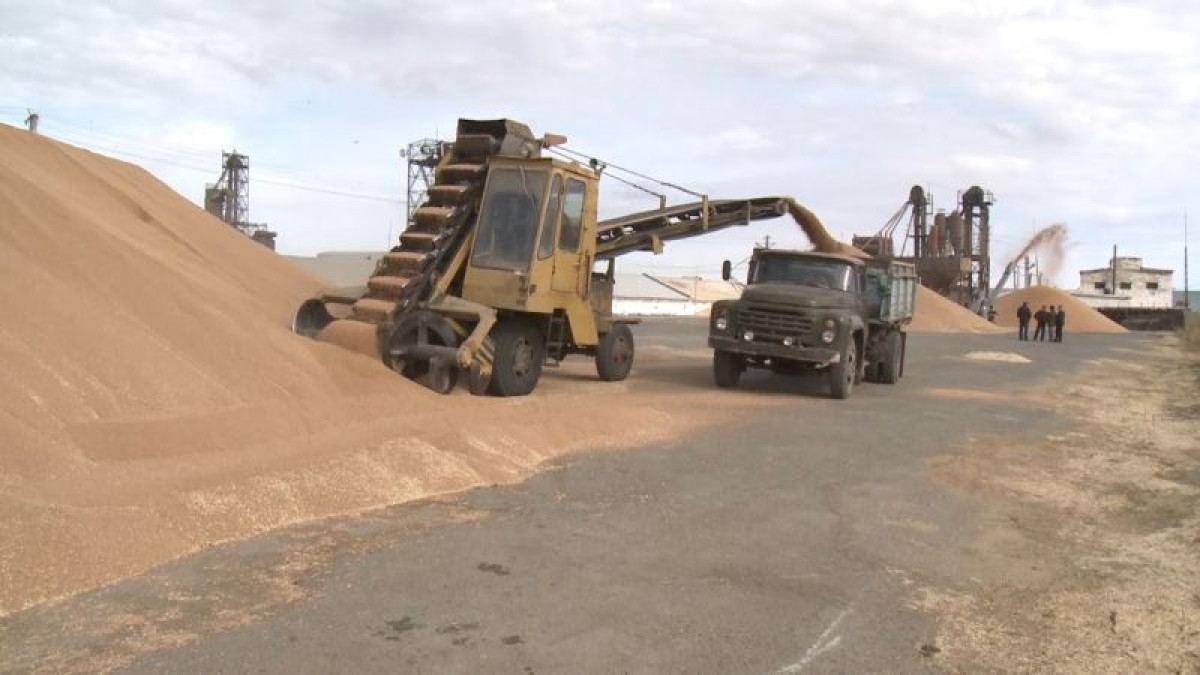  Рената Актаева