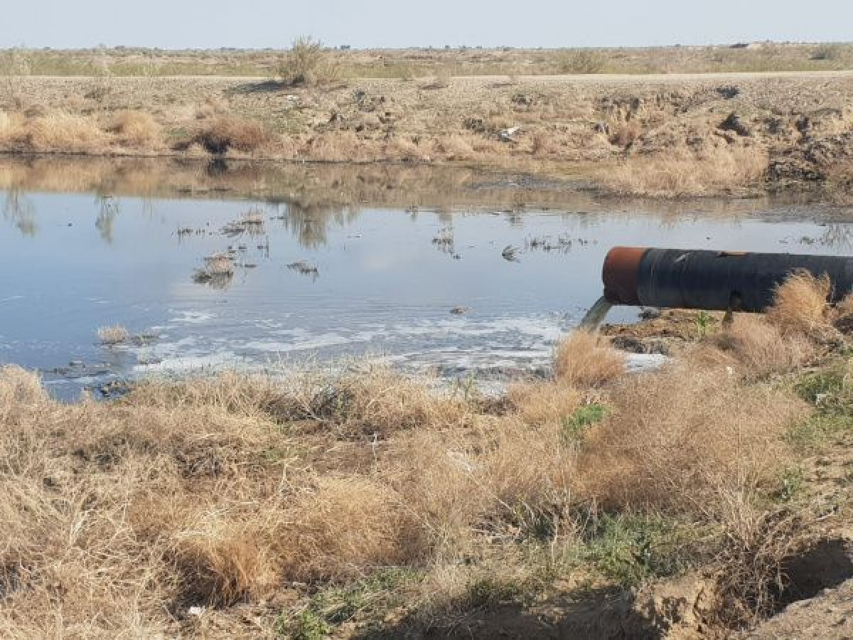  Айнур Тулешевой