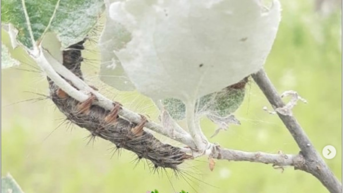  Фото: tipavlo.dar.