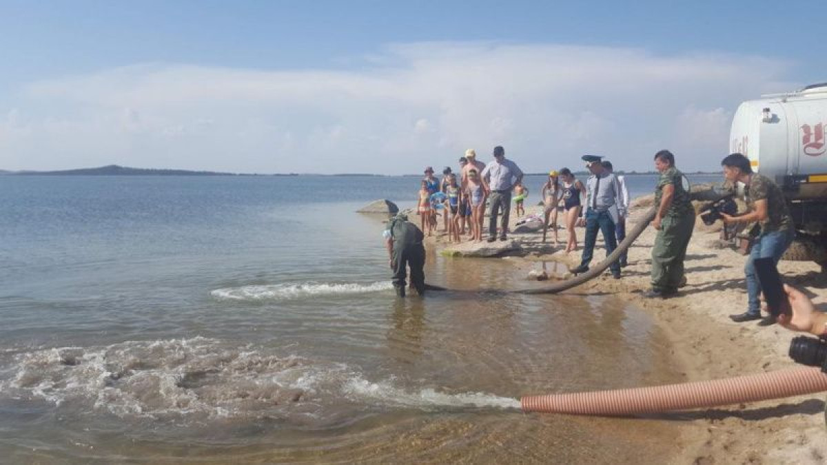  Асель Турар