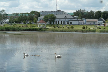 Фотография к новости: Замки, санатории и доступные цены: где отдохнуть в Беларуси, и что может перенять Казахстан