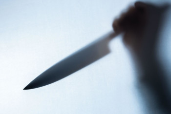 Фотография к новости: "Скрывались на дачном участке" —  как задерживали подозреваемых в убийстве уральского бизнесмена