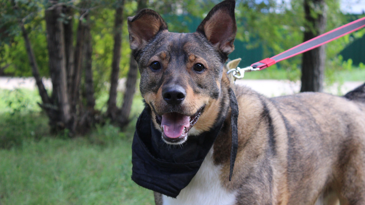  BaigeNews.kz / Константин Поляков