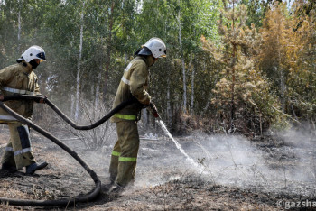 Фотография к новости: Низкие зарплаты, устаревшая техника. Депутаты после пожаров в Костанайской области подняли проблемы лесхозов