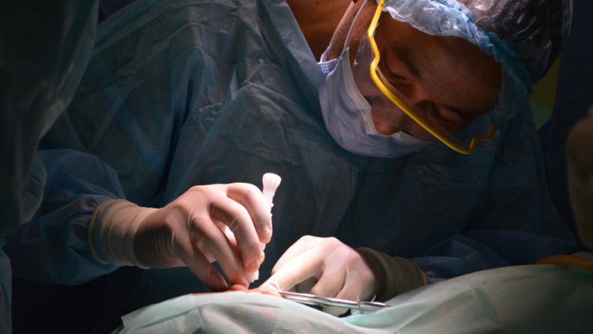  Айгерим Ибраева