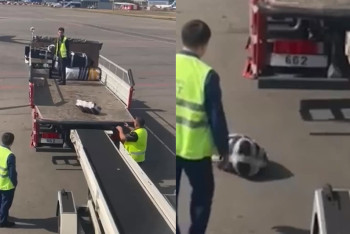 Фотография к новости: Кидали чемоданы: сотрудников аэропорта Алматы наказали за грубую сортировку багажа