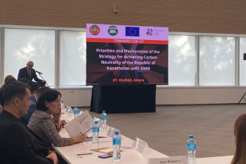 Фотография к новости: В Казахстане дорабатывается Стратегия достижения углеродной нейтральности