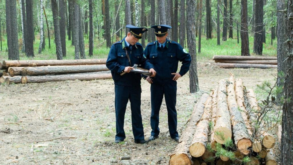  фото: ГНПП Бурабай