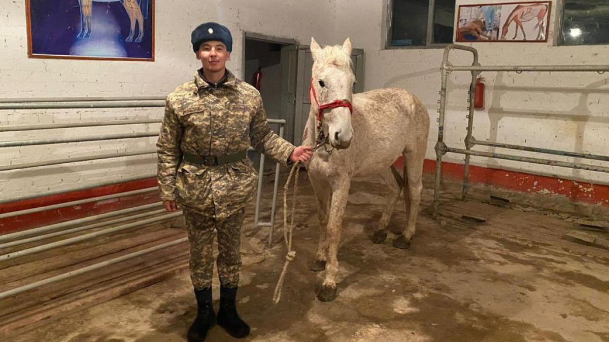  пресс-служба министерства обороны