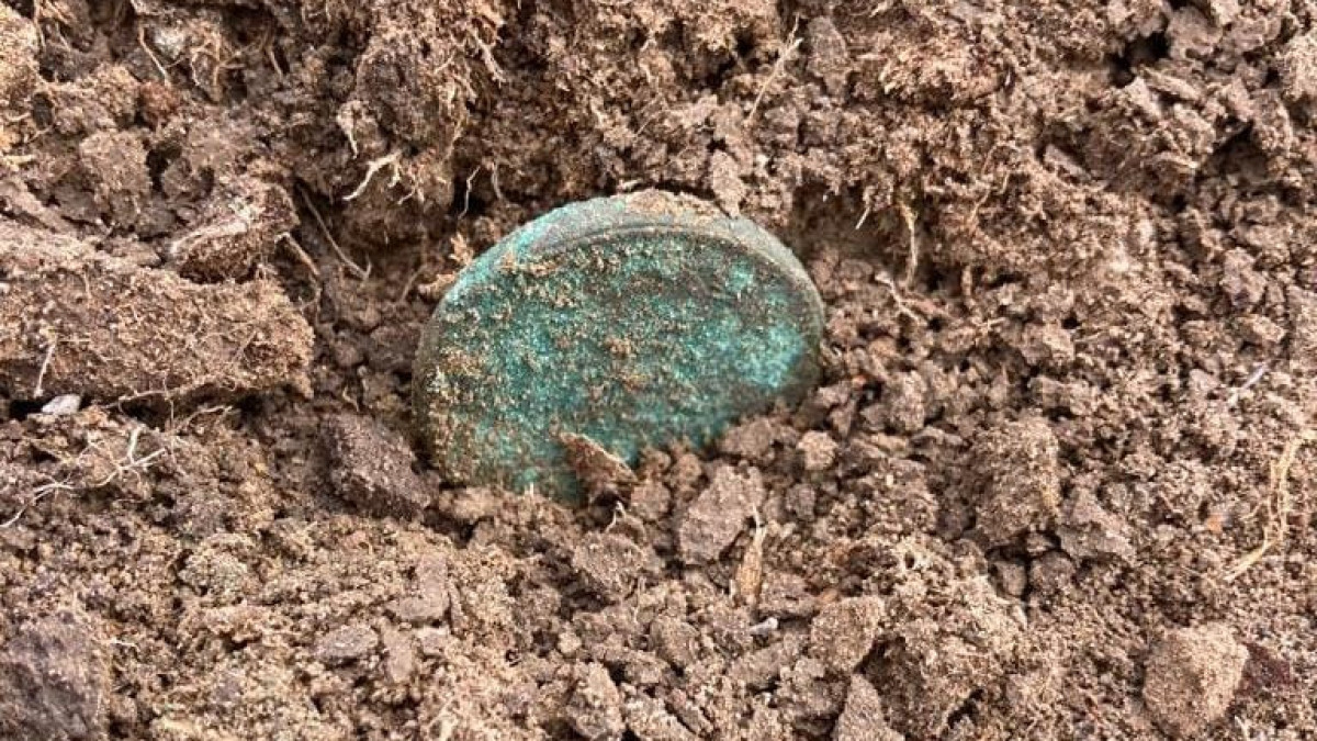  Предоставлено героем статьи