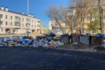 Фотография к новости: Крысы, стихийные свалки и вонь  —  Кокшетау "задыхается" от мусора