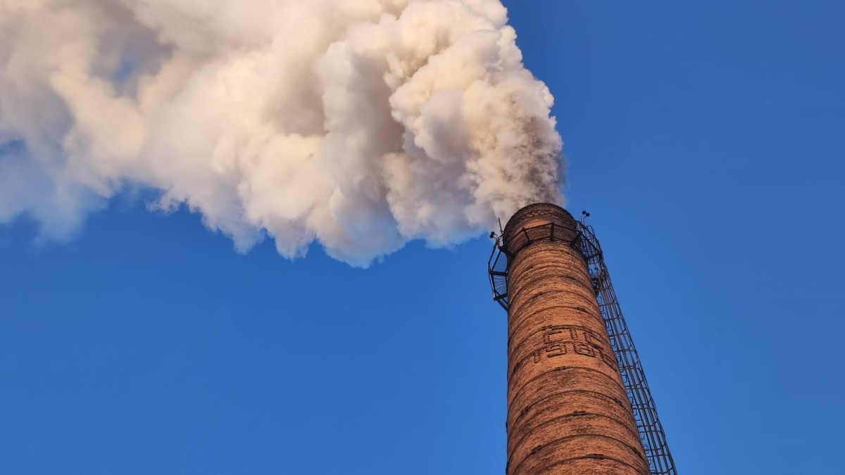  Альбина Халел