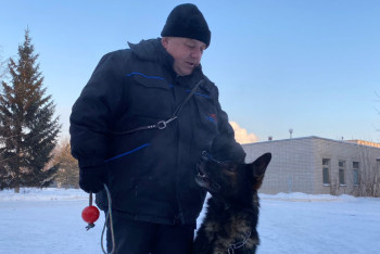 Фотография к новости: Верные напарники и острый нюх: столичные кинологи рассказали о работе служебных собак