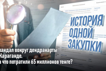 Фотография к новости: История одной закупки: скандал вокруг дендракарты в Караганде. На что потратили 65 миллионов тенге?