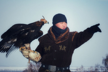 Фотография к новости: Лучших охотников с беркутом, ястребом и соколом определили на "Қансонар-2022" в Зеренде