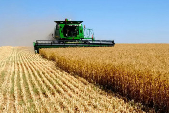 Фотография к новости: Полностью обеспечить Казахстан местной молочкой, птицей, овощами и фруктами планирует Минсельхоз