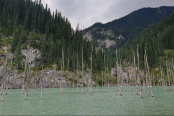 Фотография к новости: "Это мой второй дом" - россиянка о жизни в Казахстане