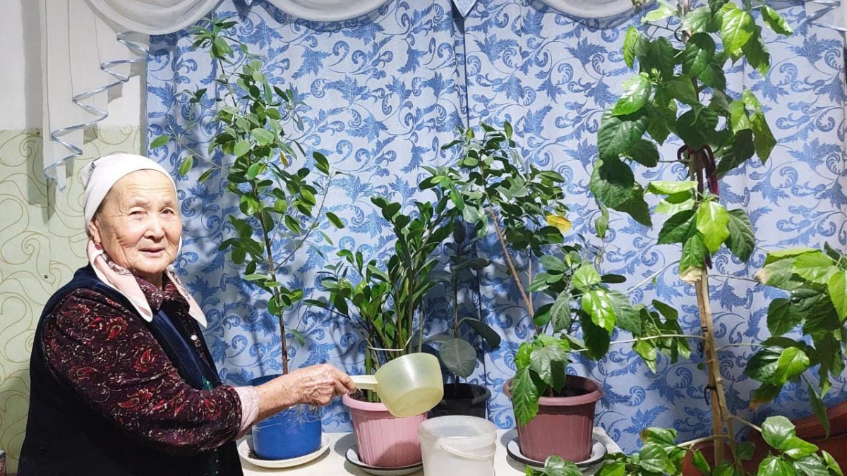  предоставлено героиней статьи