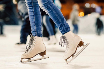 Фотография к новости: Новый ледовый дворец появится в Павлодаре