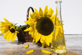 Фотография к новости: Семена раздора: в НАПМК ответили на требование отменить пошлину на вывоз подсолнечника