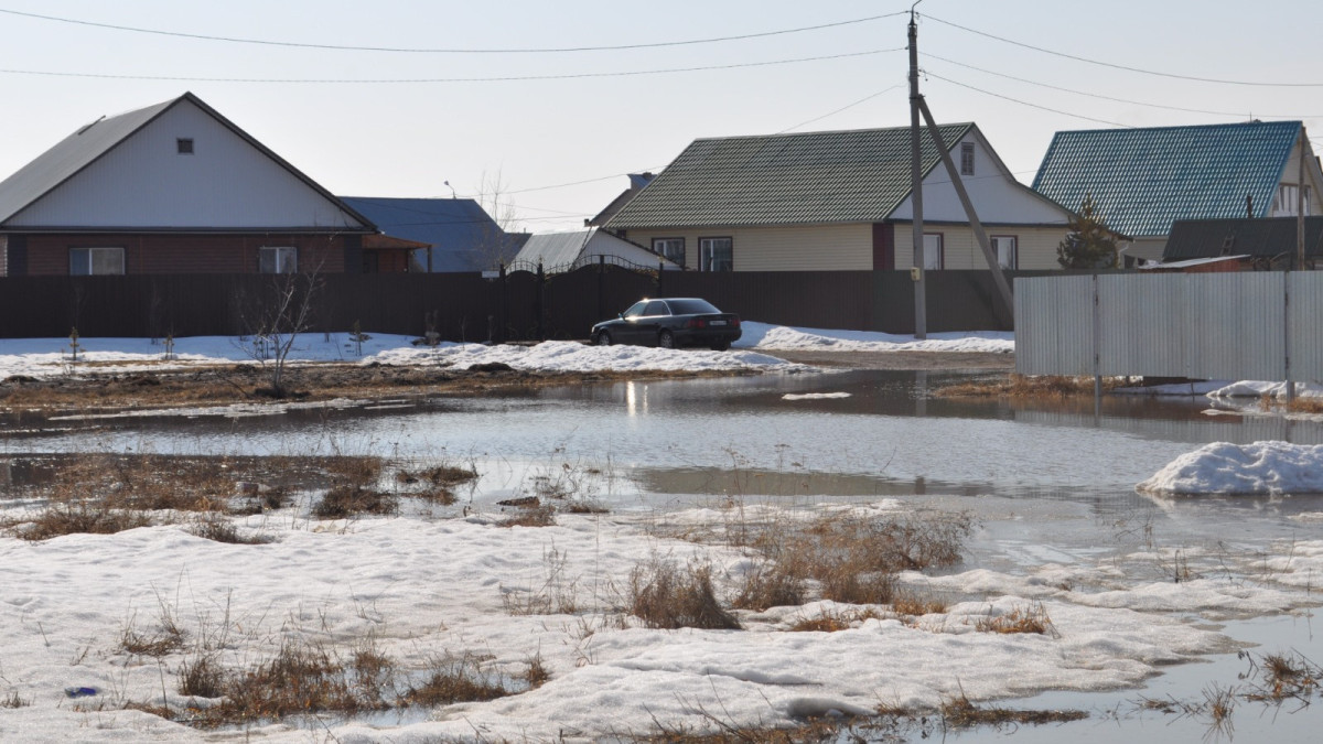  Анна Мирская