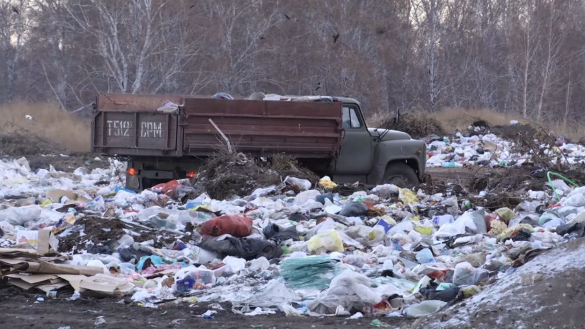  Анна Мирская