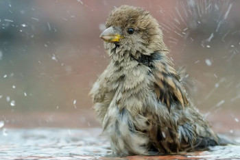Фотография к новости: Дождь, ветер, разливы рек: где в Казахстане объявлено штормовое предупреждение