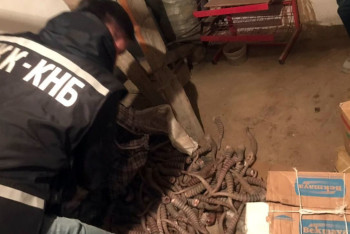 Фотография к новости: Более 100 килограммов рогов сайги изъяли у жителя Кызылординской области