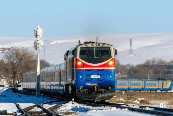 Фотография к новости: Задержку поездов вызвали вышедшие на рельсы домашние животные