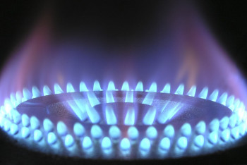 Фотография к новости: Низкими ценами на газ пользуются потребители с высокими доходами - Минэнерго