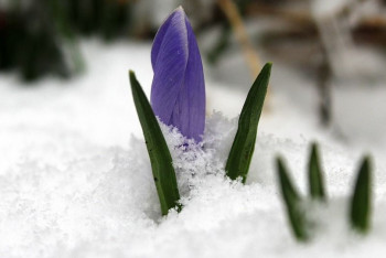 Фотография к новости: Резкое похолодание произойдёт в Казахстане