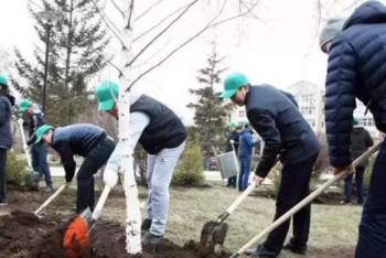 Фотография к новости: Молодёжные трудовые отряды заработают в Казахстане с 15 апреля