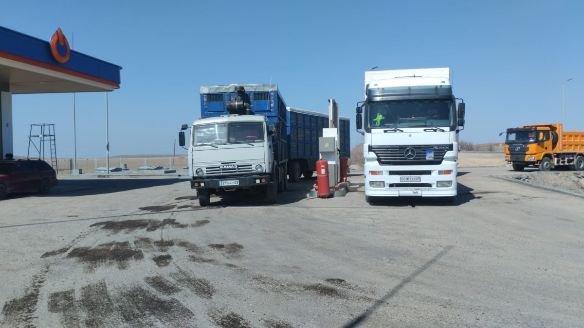  предоставлено героями статьи