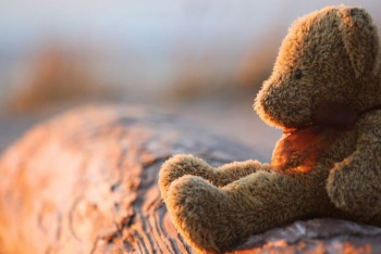 Фотография к новости: Няню подозревают в убийстве двухлетнего ребёнка в Алматинской области