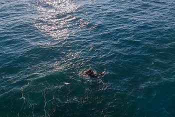 Фотография к новости: Что думают по поводу обмеления Каспия казахстанские ученые и экологи