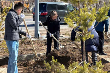 Фотография к новости: Миллион деревьев и кустарников высадят в этом году в Астане