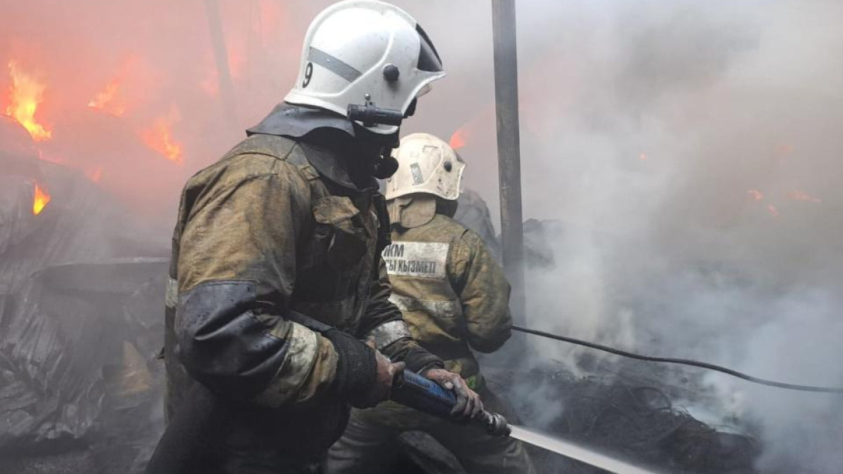  ДЧС Алматинской области