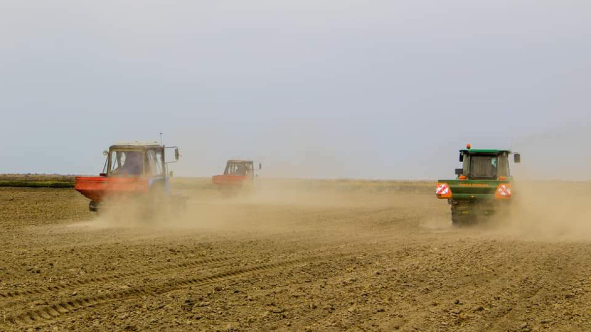  Айнур Тулешова