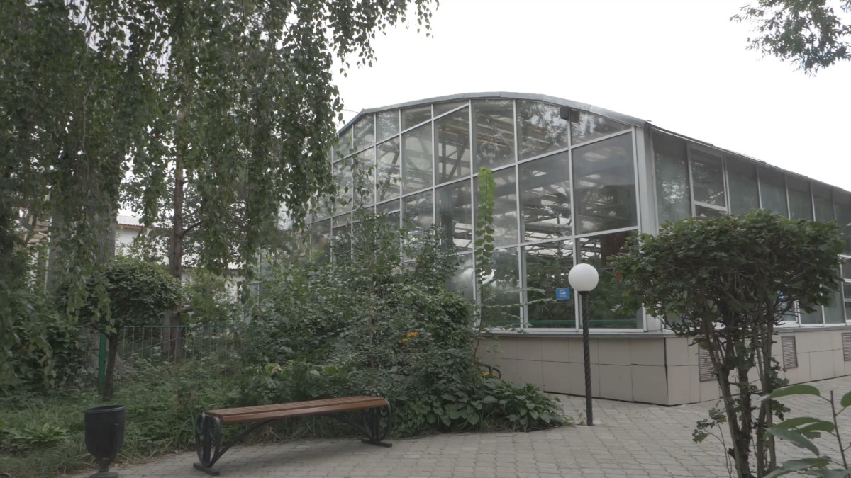  Анна Мирская