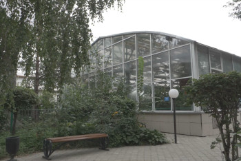 Фотография к новости: Уникальный столетний "тропический сад" в Петропавловске оказался под угрозой исчезновения