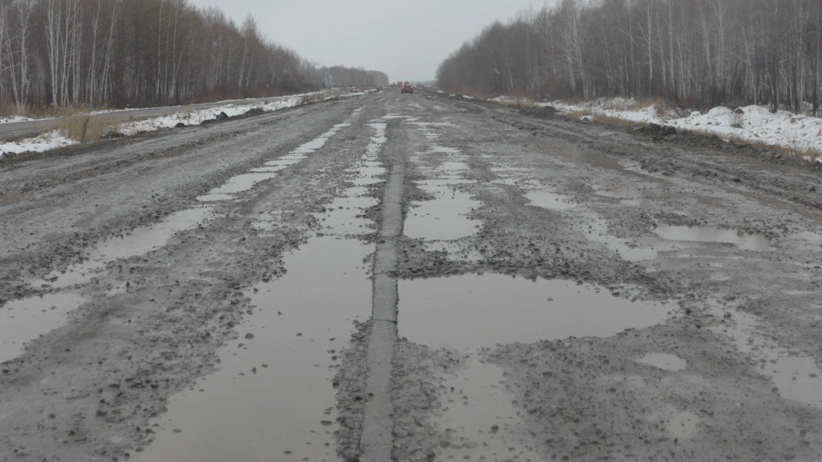  Анна Мирская