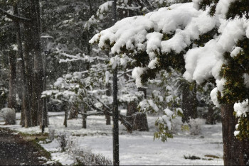Фотография к новости: Снегопад, метель и гололёд прогнозируют синоптики в Астане