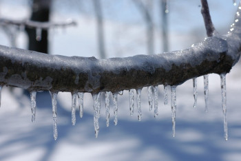 Фотография к новости: Дожди на западе и метель на севере прогнозируют казахстанские синоптики