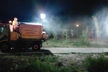 Фотография к новости: В Алматы начали химобработку деревьев от вредителей