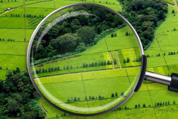 Фотография к новости: В Косшы земельный участок за 120 млн тенге вернули государству — прокуратура