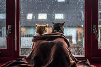 Фотография к новости: Циклон с Чёрного моря атакует Казахстан: погода на 16 апреля